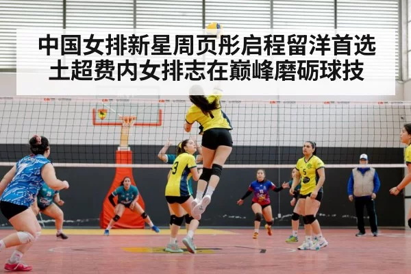 volleyball match arena